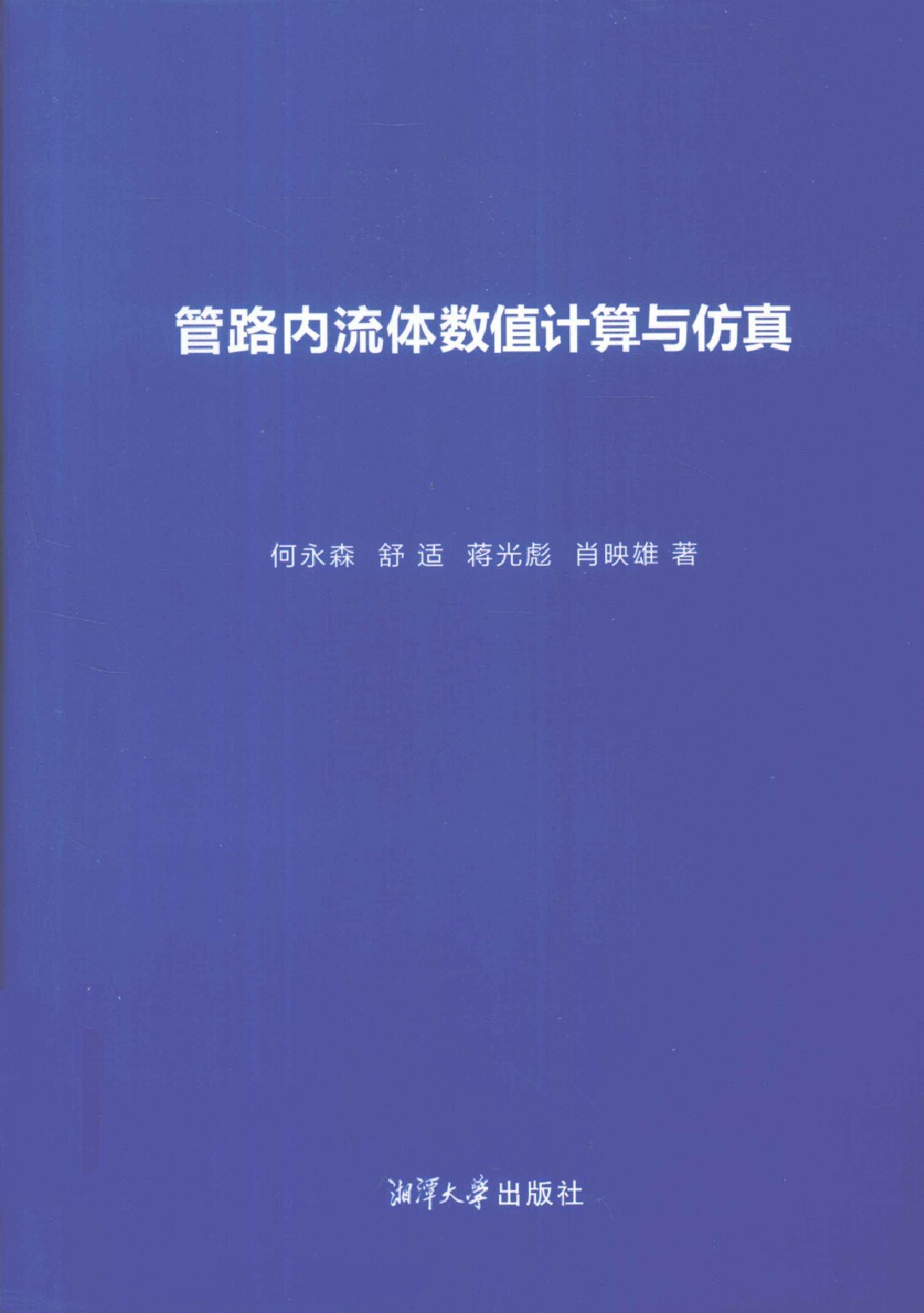 管路内流体数值计算与仿真